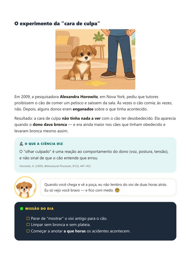 Página: o experimento da cara de culpa